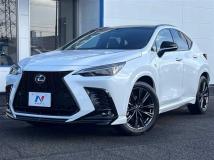 2024 Lexus NX