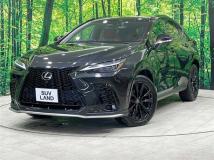 2022 Lexus NX