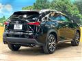 2015 Lexus NX