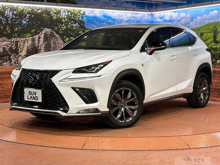 2018 Lexus NX