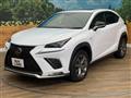 2019 Lexus NX