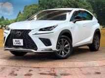2020 Lexus NX