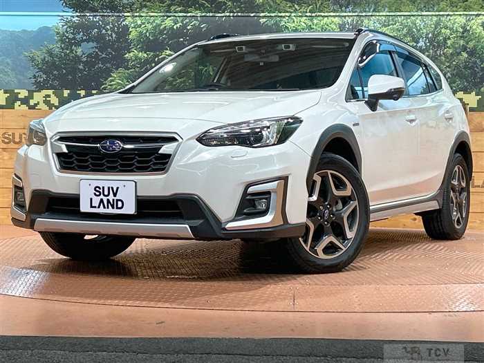 2019 Subaru Subaru Others