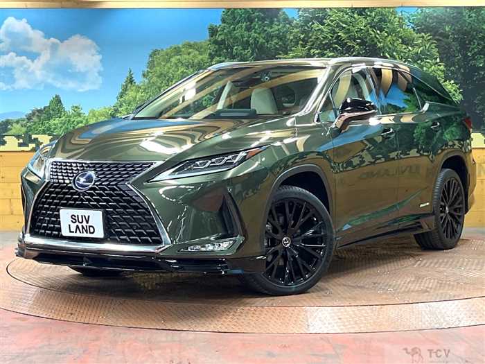 2019 Lexus RX