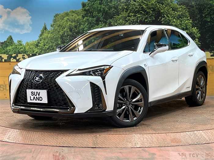 2021 Lexus Other