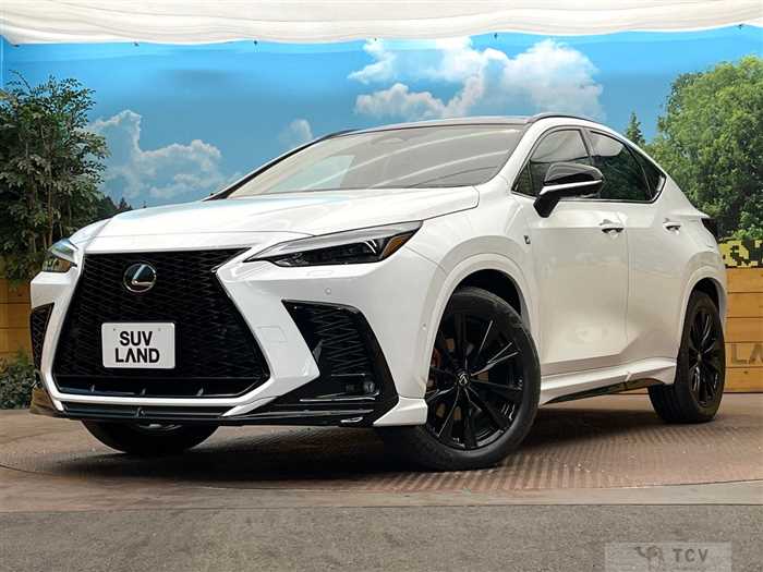 2025 Lexus NX