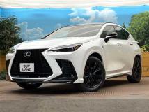 2025 Lexus NX