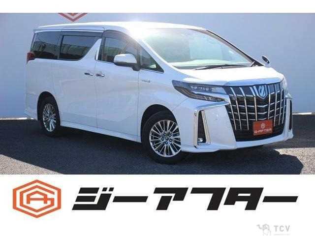 2018 Toyota Alphard G