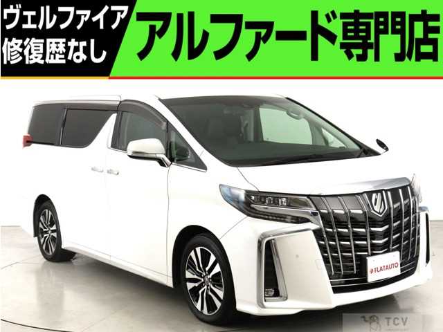 2019 Toyota Alphard G