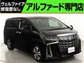 2019 Toyota Alphard G