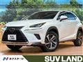 2019 Lexus NX