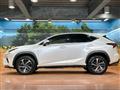 2019 Lexus NX