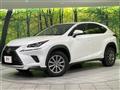 2019 Lexus NX