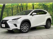 2019 Lexus NX
