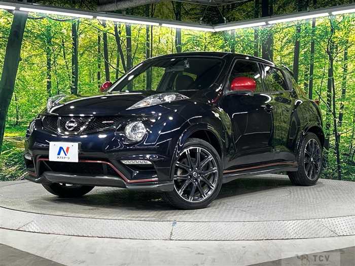 2014 Nissan Juke