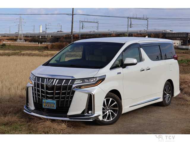 2019 Toyota Alphard G