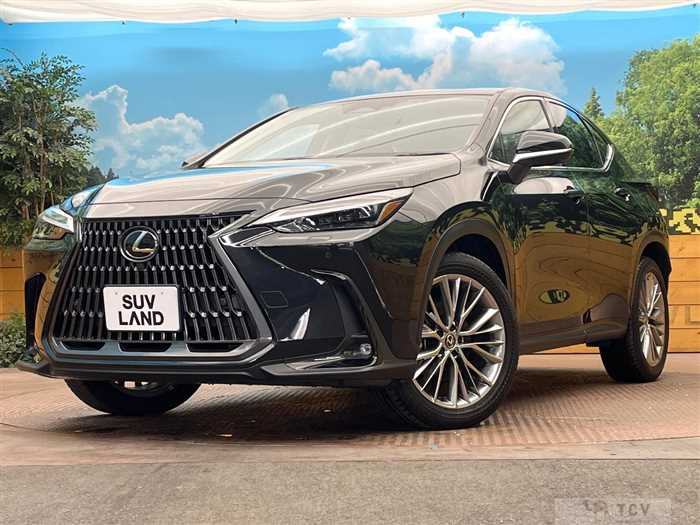 2023 Lexus NX