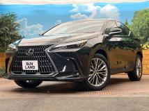 2023 Lexus NX
