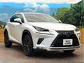 2019 Lexus NX
