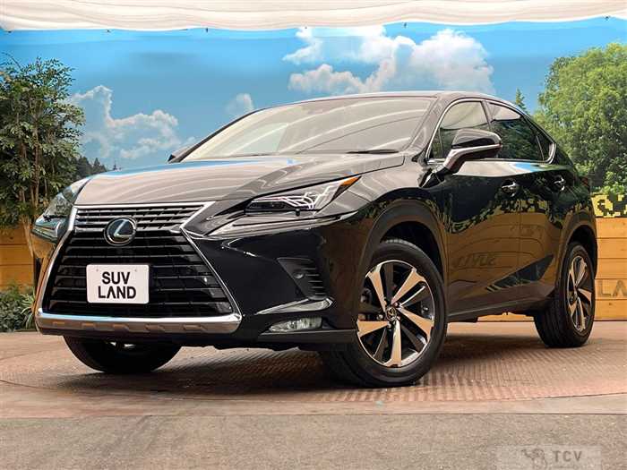 2020 Lexus NX