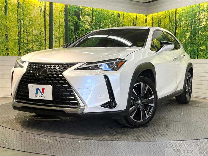 2020 Lexus Other