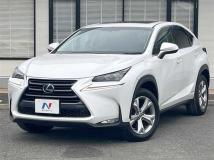2014 Lexus NX