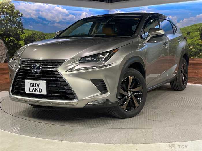 2019 Lexus NX
