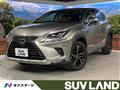 2019 Lexus NX