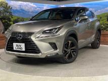 2019 Lexus NX
