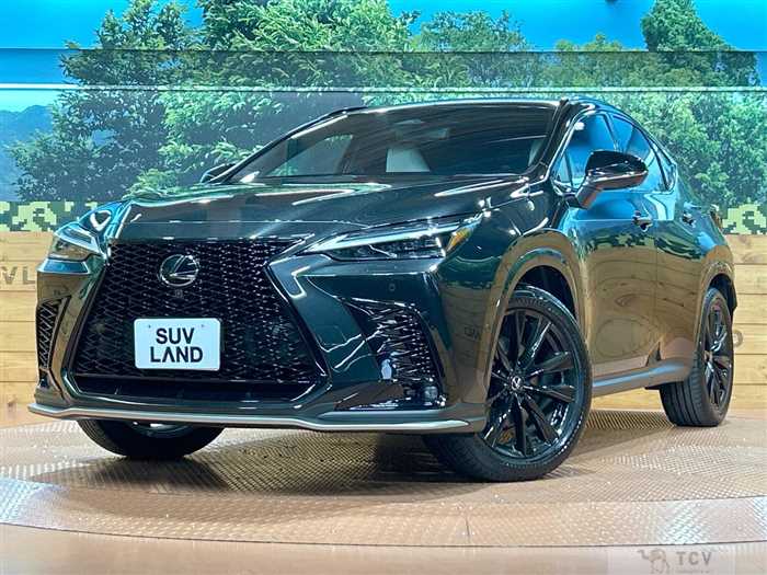 2024 Lexus NX