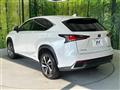 2019 Lexus NX