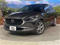 2019 Mazda Mazda Others
