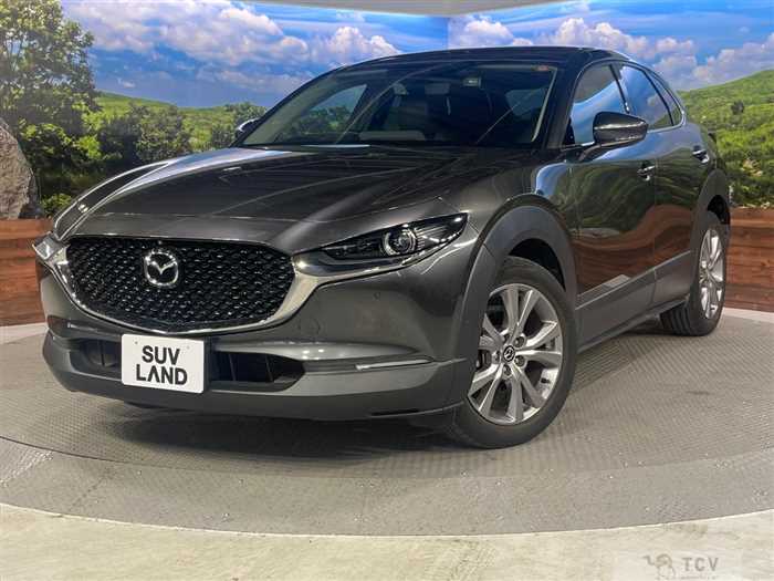 2019 Mazda Mazda Others