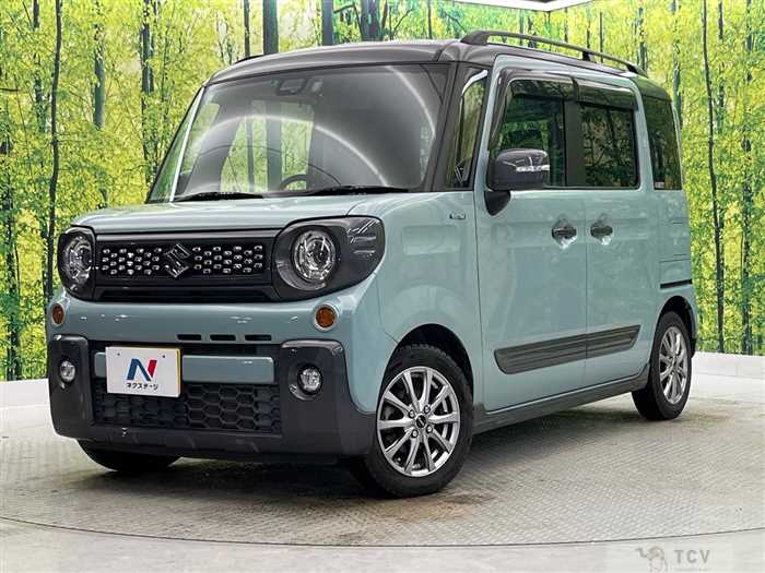 2019 Suzuki Suzuki Others