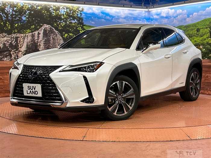2019 Lexus Other