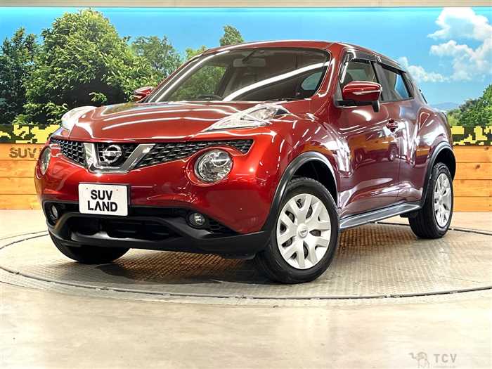 2014 Nissan Juke