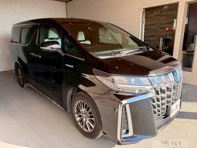 2019 Toyota Alphard G