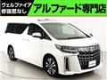 2019 Toyota Alphard G