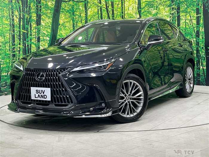 2022 Lexus NX