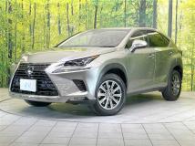 2018 Lexus NX