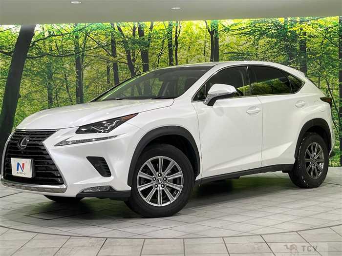 2019 Lexus NX