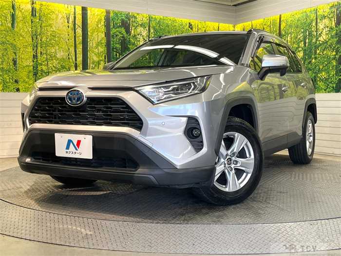 2019 Toyota RAV4
