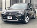 2019 Lexus Other