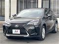 2019 Lexus Other