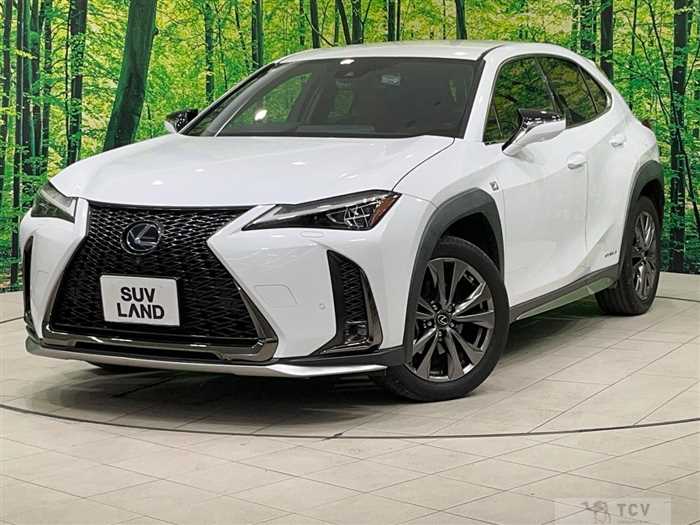 2019 Lexus Other