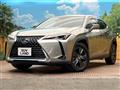 2019 Lexus Other