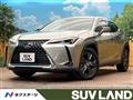 2019 Lexus Other