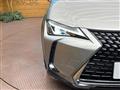 2019 Lexus Other