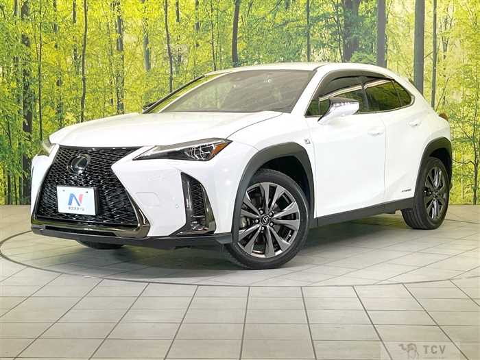 2020 Lexus Other