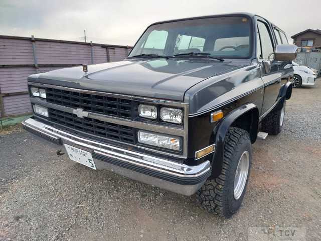 1989 GM Chevrolet Others